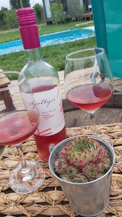 Tiny Colchagua Cabanas Y Padel Lägenhet Santa Cruz Exteriör bild