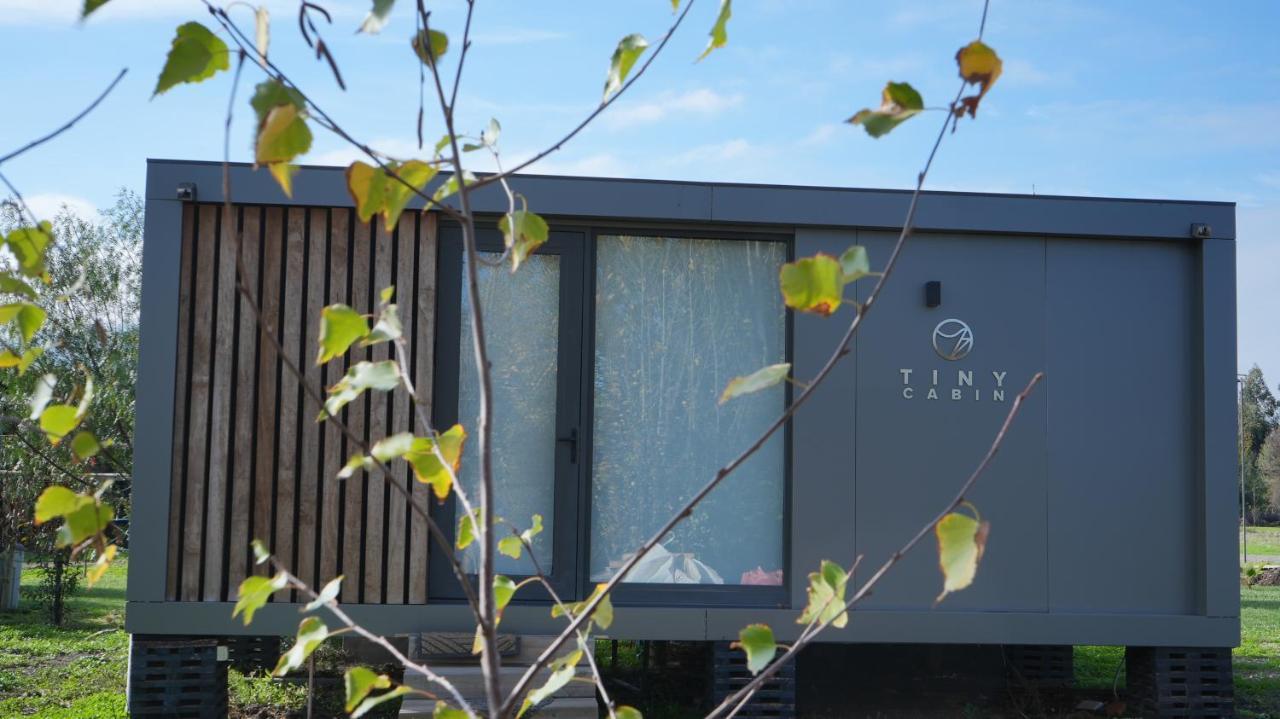 Tiny Colchagua Cabanas Y Padel Lägenhet Santa Cruz Exteriör bild