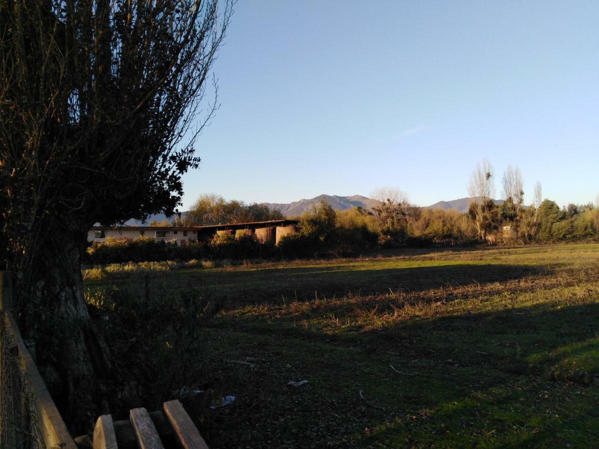 Tiny Colchagua Cabanas Y Padel Lägenhet Santa Cruz Exteriör bild